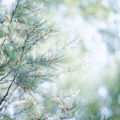 星力正版捕鱼下载手机版