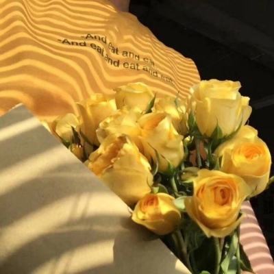 万博体育app下载官网